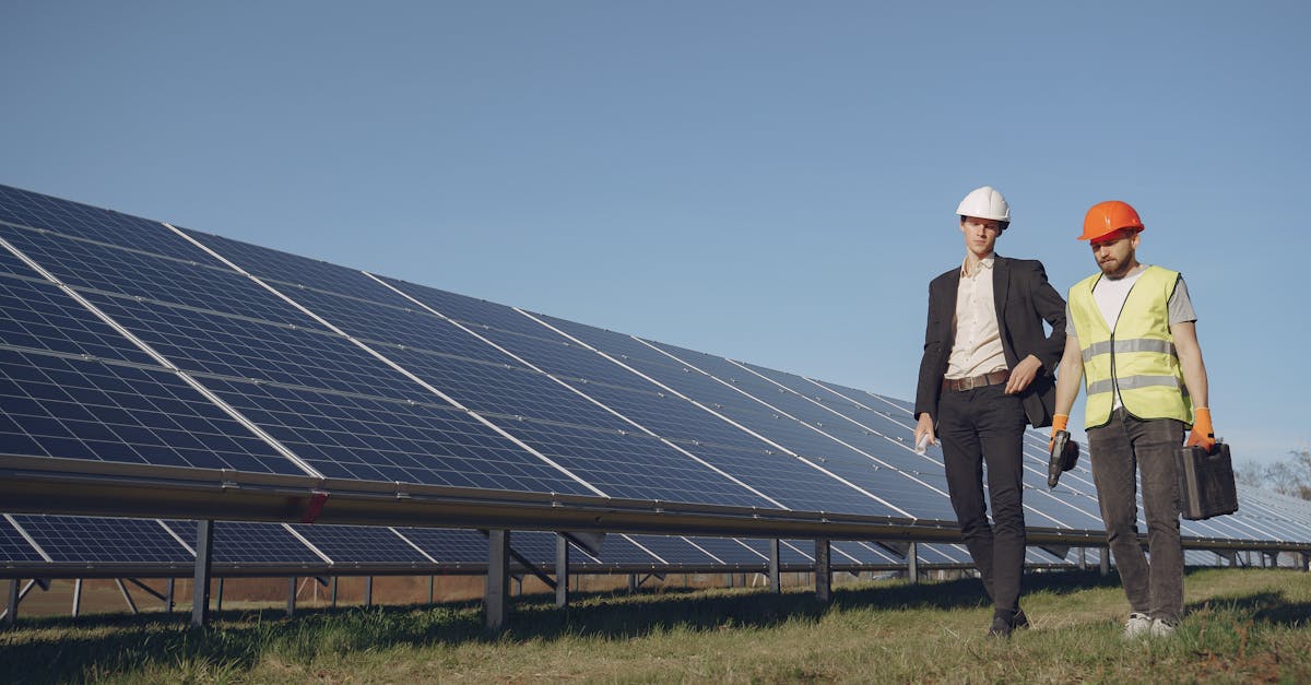 Best Practices for Reducing Energy Waste in Offices