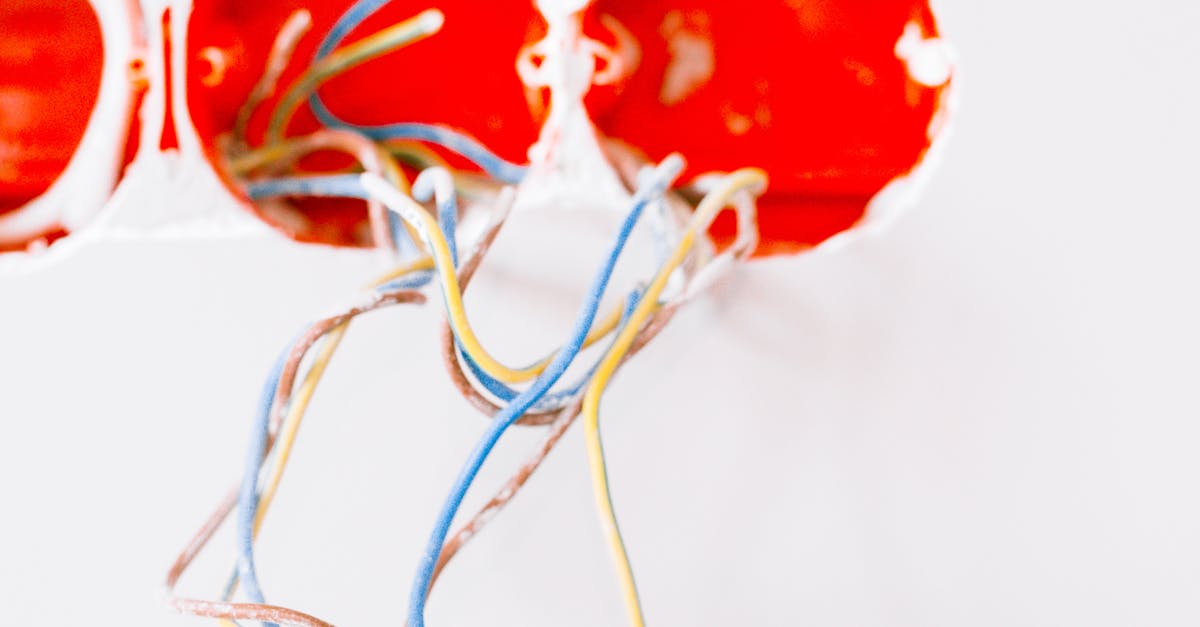 The Role of Data Cabling in Supporting Business Communication Systems